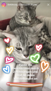 insta1